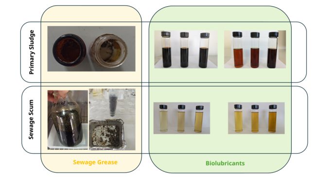 03-02-2023_Lab-scale_Activities_picture_1